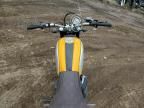 2015 Ducati Scrambler 800