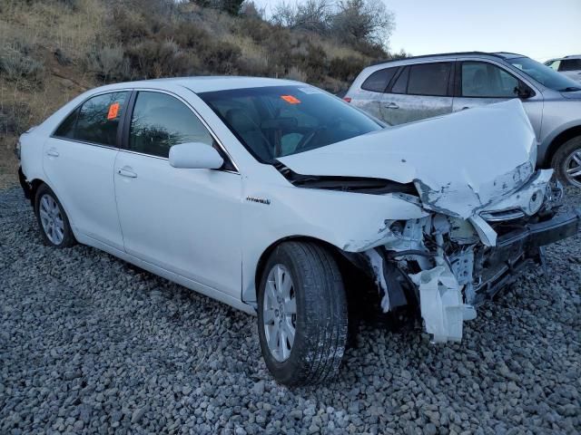 2009 Toyota Camry Hybrid