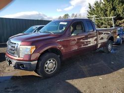 Ford salvage cars for sale: 2010 Ford F150 Super Cab