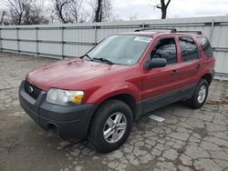 Ford Escape xls Vehiculos salvage en venta: 2006 Ford Escape XLS