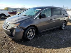 Salvage cars for sale from Copart Louisville, KY: 2011 Honda Odyssey EXL