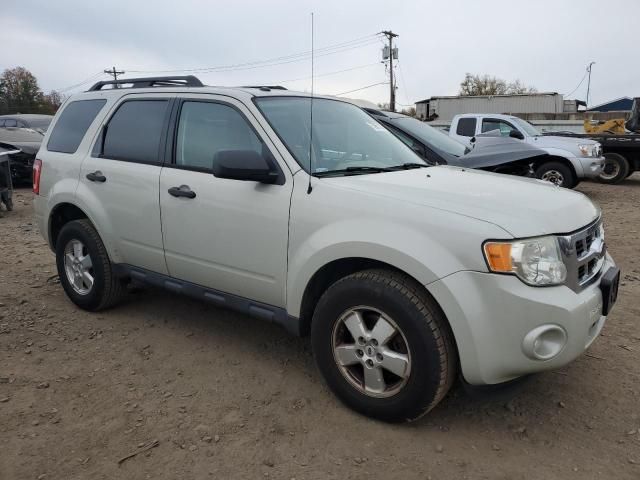 2009 Ford Escape XLT