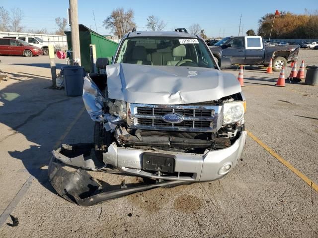 2009 Ford Escape XLT