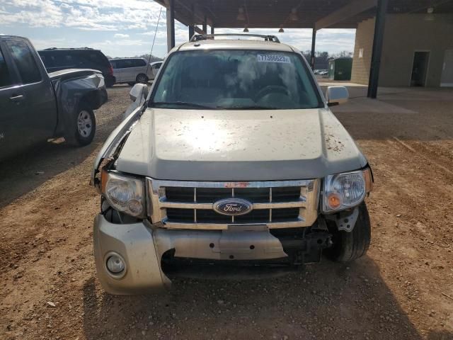 2011 Ford Escape Limited