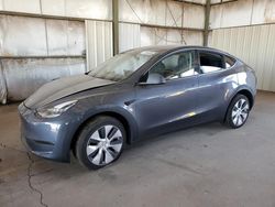 Salvage cars for sale from Copart Phoenix, AZ: 2023 Tesla Model Y