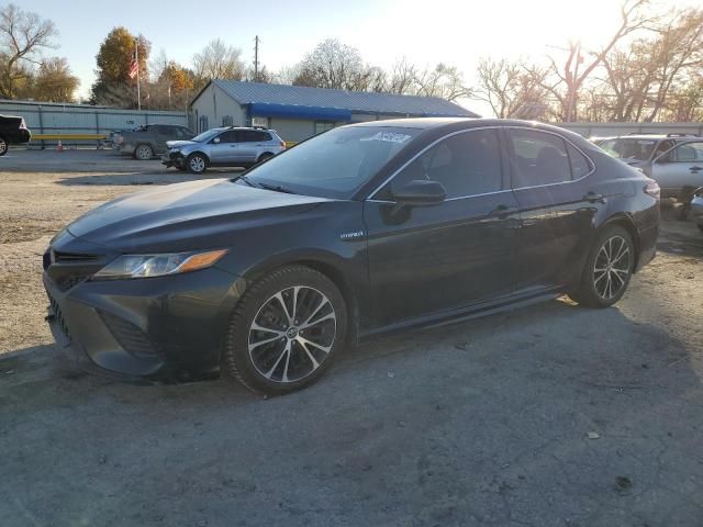 2019 Toyota Camry Hybrid