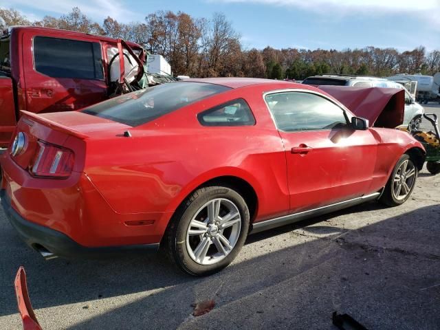 2010 Ford Mustang