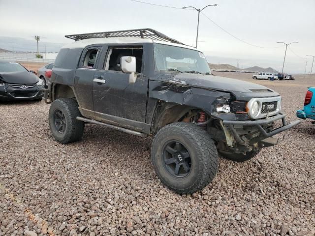 2010 Toyota FJ Cruiser