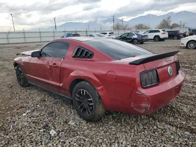 2005 Ford Mustang