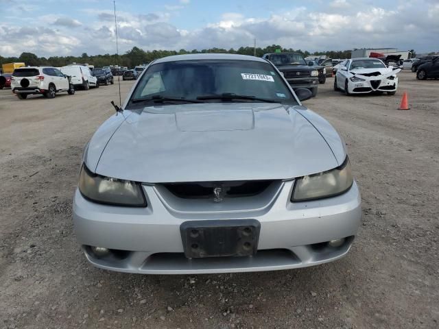 2001 Ford Mustang Cobra SVT