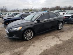 Salvage cars for sale from Copart Louisville, KY: 2016 Ford Fusion SE