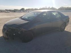 Salvage cars for sale from Copart San Antonio, TX: 2010 Toyota Corolla Base