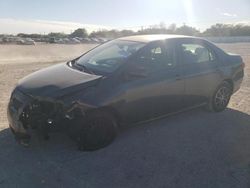 Salvage cars for sale at San Antonio, TX auction: 2010 Toyota Corolla Base