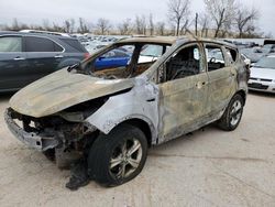 Salvage cars for sale at Bridgeton, MO auction: 2015 Ford Escape SE