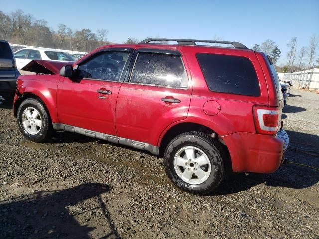 2009 Ford Escape XLT