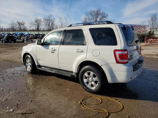 2010 Ford Escape Hybrid