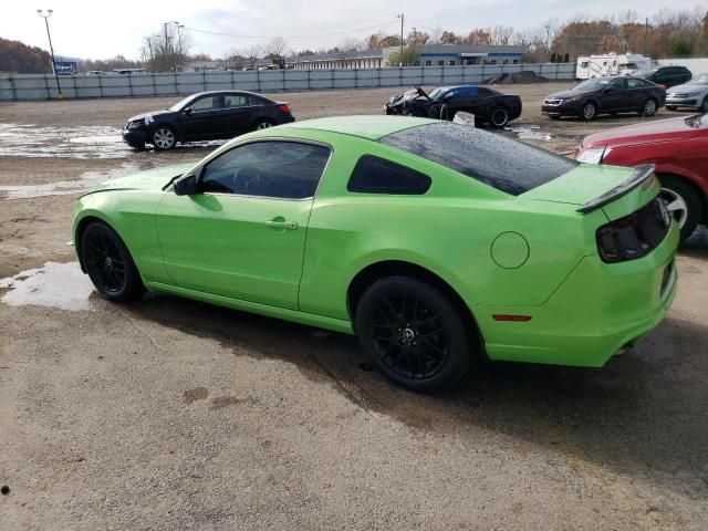 2014 Ford Mustang