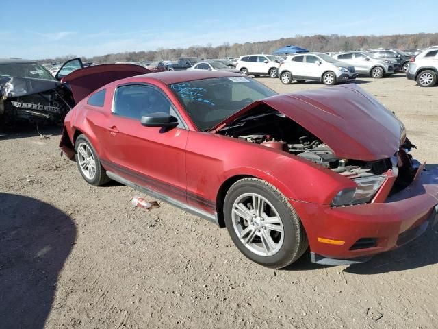 2010 Ford Mustang