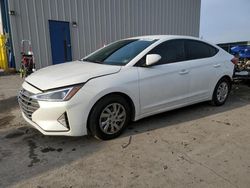 Salvage cars for sale at Duryea, PA auction: 2020 Hyundai Elantra SE