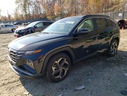 Hyundai Vehiculos salvage en venta: 2024 Hyundai Tucson SEL