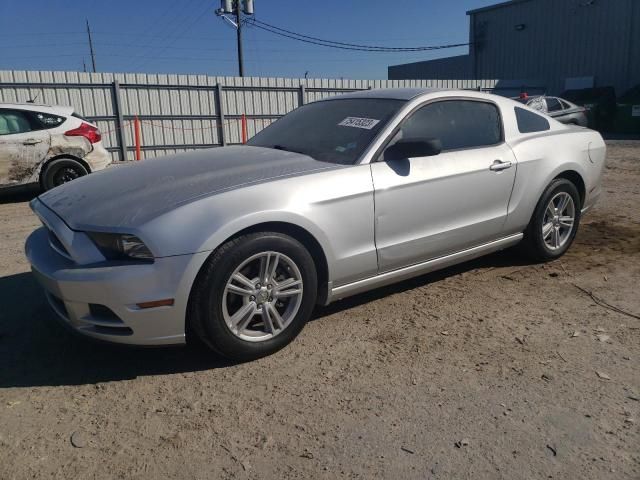 2013 Ford Mustang