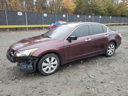 Honda Accord EXL salvage cars for sale: 2010 Honda Accord EXL