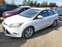 Ford Focus salvage cars for sale: 2013 Ford Focus SE