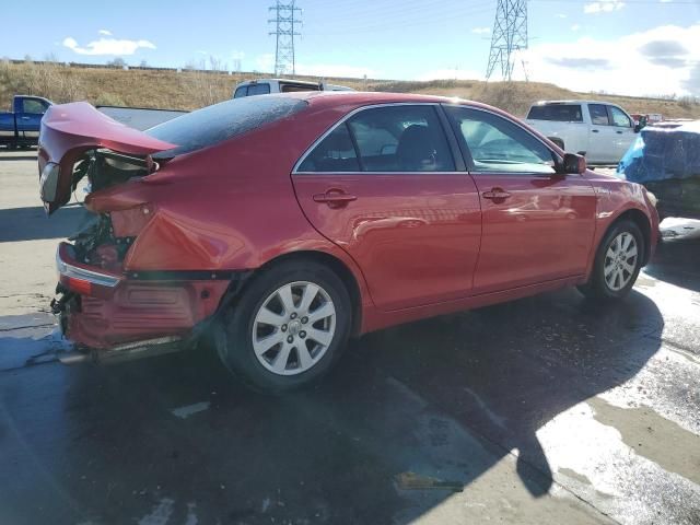 2009 Toyota Camry Hybrid