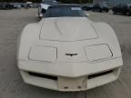 1981 Chevrolet Corvette