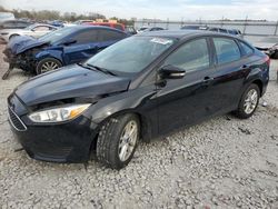 Ford Focus SE salvage cars for sale: 2017 Ford Focus SE