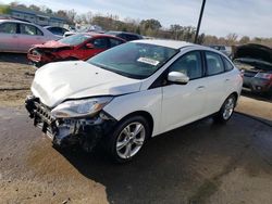 Ford Focus SE salvage cars for sale: 2014 Ford Focus SE