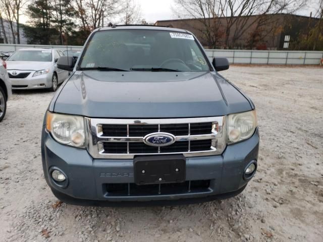 2010 Ford Escape XLT