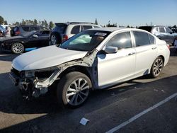 Vehiculos salvage en venta de Copart Rancho Cucamonga, CA: 2013 Honda Accord Sport