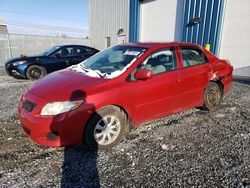 Salvage cars for sale at Elmsdale, NS auction: 2010 Toyota Corolla Base
