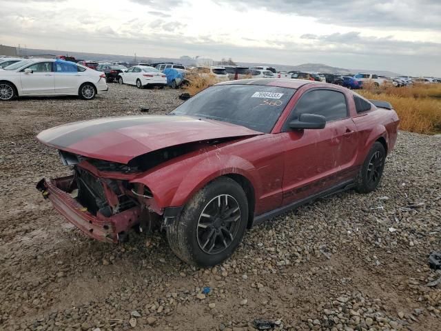 2005 Ford Mustang