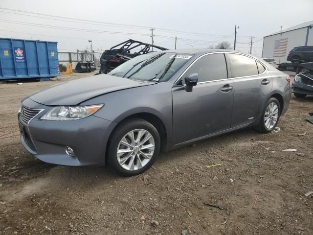 2014 Lexus ES 300H