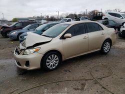 Toyota Corolla salvage cars for sale: 2013 Toyota Corolla Base