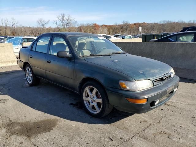 1996 Toyota Corolla