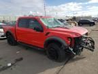 2019 Ford F150 Raptor