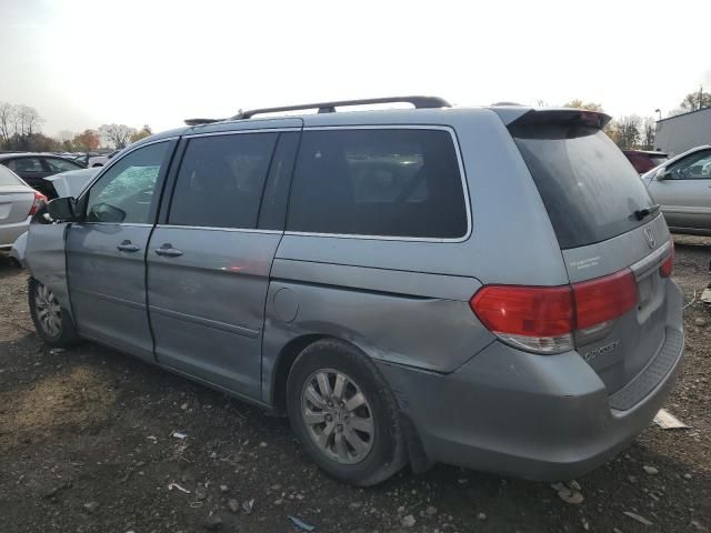 2010 Honda Odyssey EXL