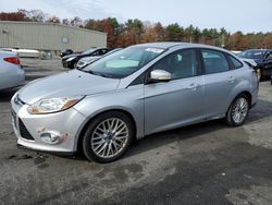 Ford Focus SE salvage cars for sale: 2013 Ford Focus SE