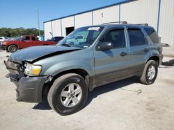 Ford Escape XLS salvage cars for sale: 2005 Ford Escape XLS