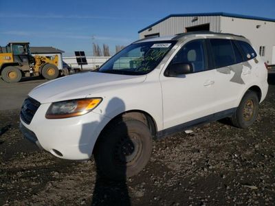 Salvage cars for sale from Copart Airway Heights, WA: 2009 Hyundai Santa FE GLS