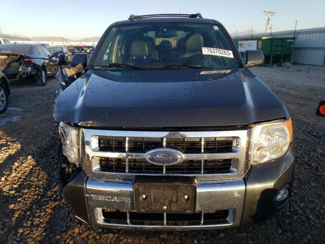 2008 Ford Escape Limited