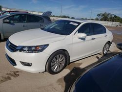 Honda Accord EXL salvage cars for sale: 2013 Honda Accord EXL