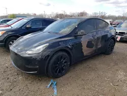 Salvage cars for sale at Louisville, KY auction: 2021 Tesla Model Y