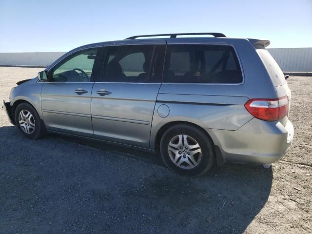 2005 Honda Odyssey EX