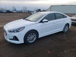 Salvage cars for sale from Copart Rocky View County, AB: 2019 Hyundai Sonata SE
