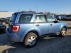 2010 Ford Escape XLS