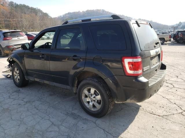 2011 Ford Escape Limited